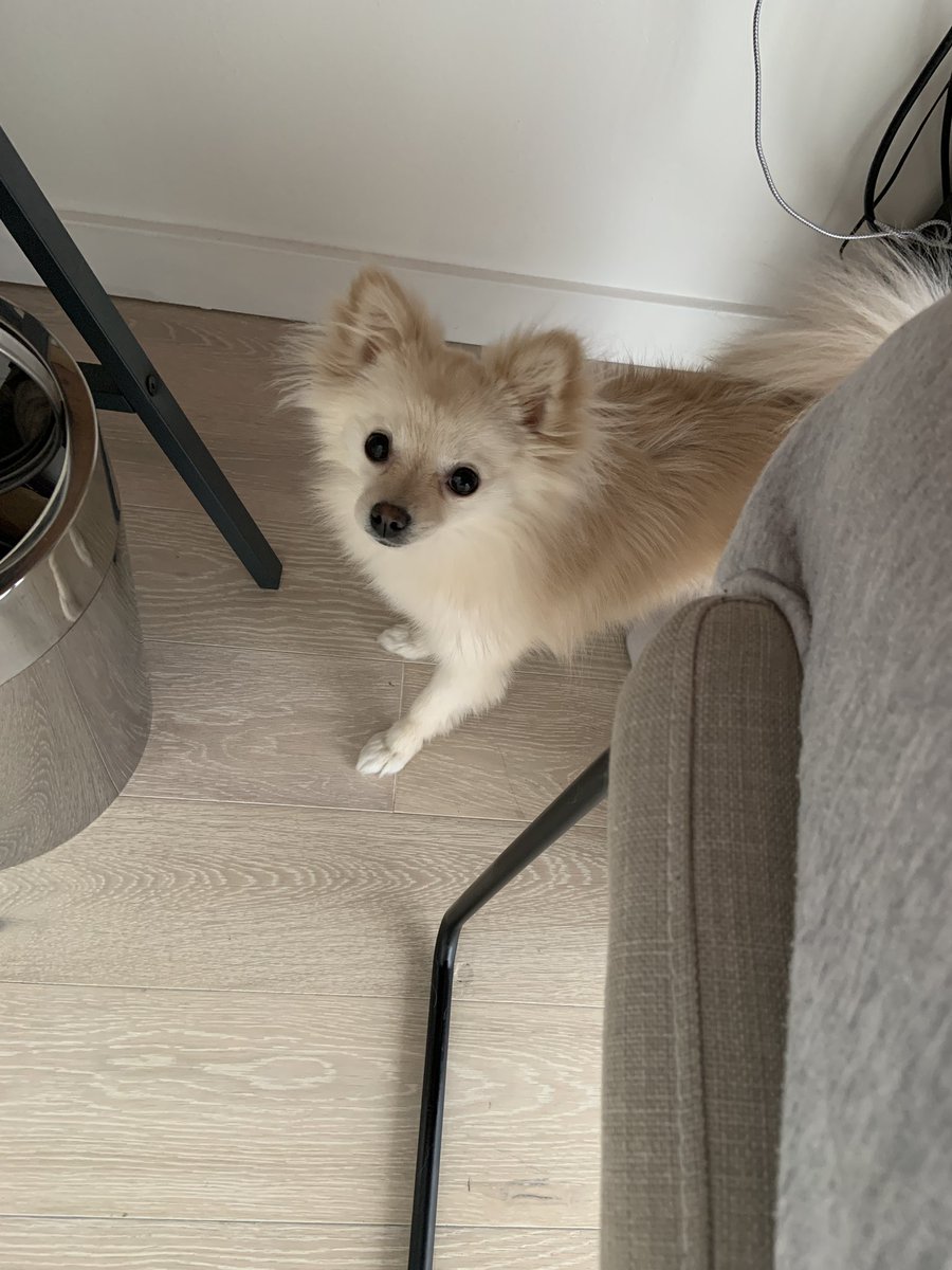 Penny ☁️ tweet media