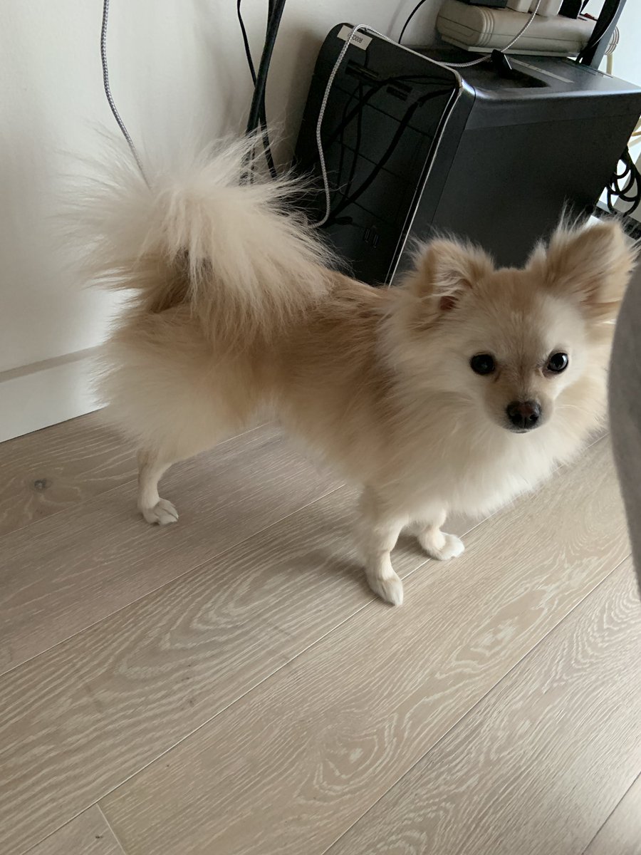 Penny ☁️ tweet media