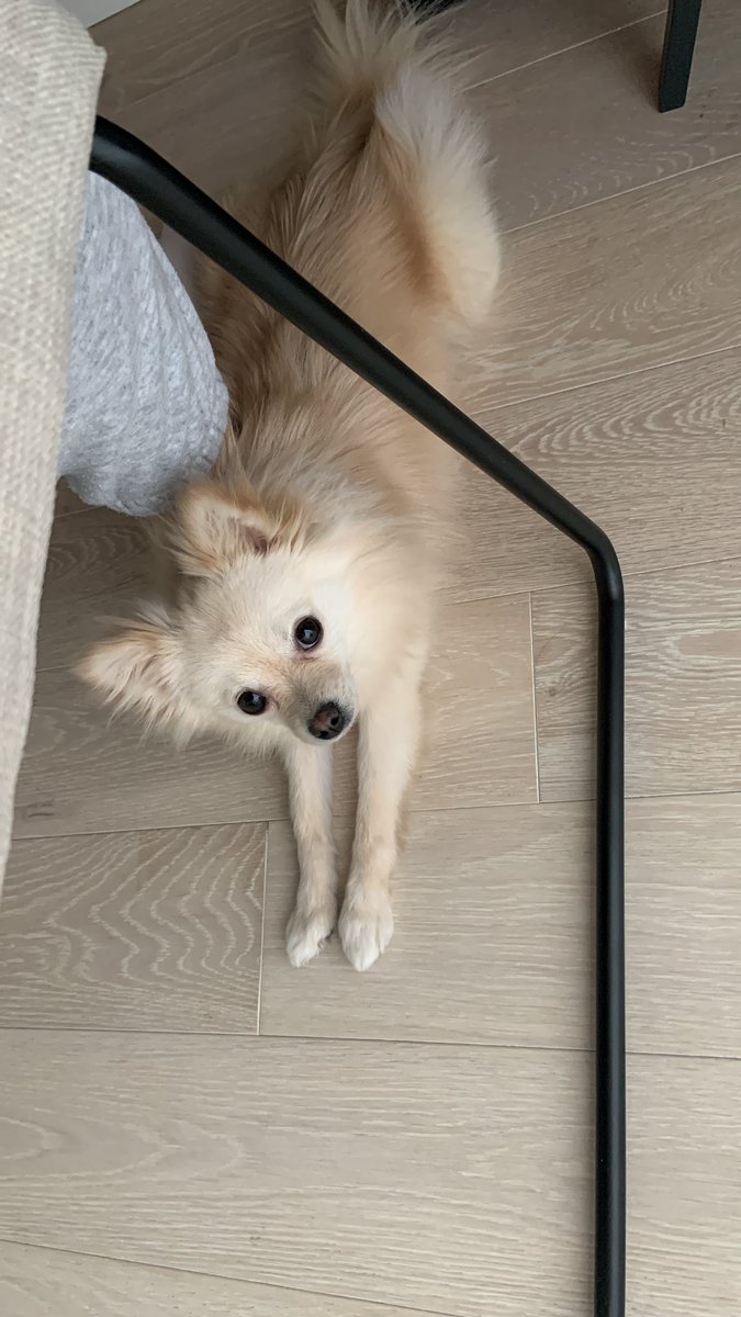 Penny ☁️ tweet media