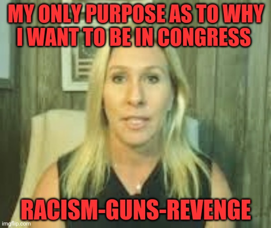 suekrek's tweet photo. @RepMTG This is all you've got to contribute...#RemoveMarge
#Racism 
#Guns 
#Revenge https://t.co/Jrrk1LWm5F