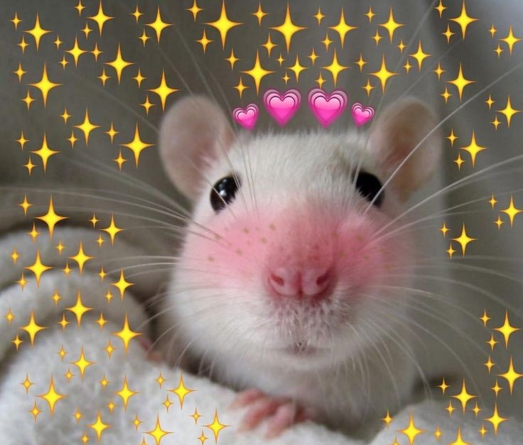 KsandraMint's tweet photo. @his_name_Kyle Я хочу остаться 🥺 https://t.co/2EwWoFiZ4P