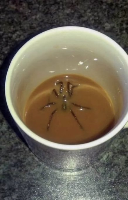 GlenFearce1's tweet photo. Look Ma, a spoida! 😮 🕷️
@OmarGoshTV @Tiph1981 @Melissa_momof3 #RIPSpider https://t.co/RBTR8Egr7E