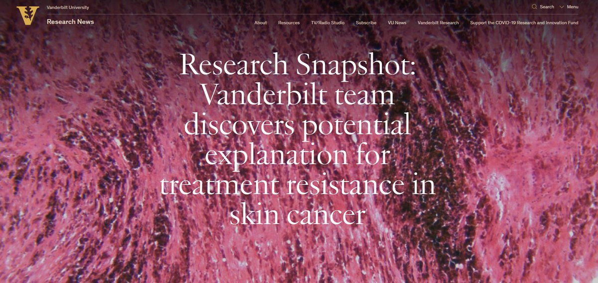 Glad to share our Research Snapshot: Vanderbilt team discovers potential explanation for treatment resistance in skin cancer news.vanderbilt.edu/2022/02/28/res…