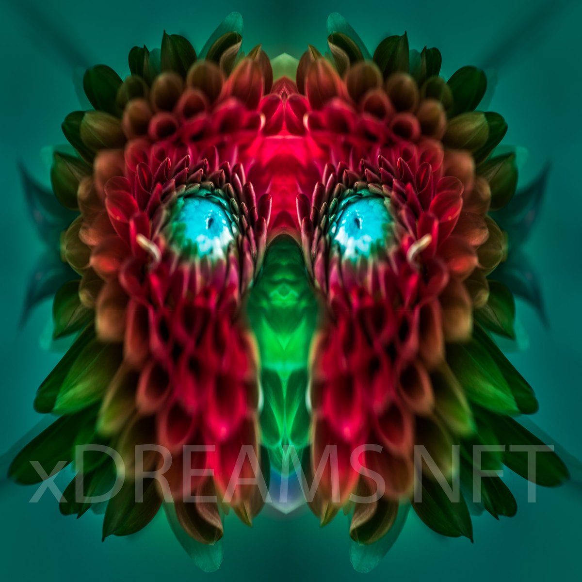 DukeOfAirdrop's tweet photo. 🪂🎁 #AIRDROP #Giveaway 🎁🪂

We’ve teamed up with xDREAMS to celebrate an EPIC 1:1 AD. 

5 winners | 0.5 #xDREAMS each

👉Follow @xDREAMS_NFT &amp; Me
👉Retweet/Like
👉Tag 5 Friends
⏰72HRS

Don’t miss this out!

https://t.co/DYBXwpwPWr

Plus, we have LOTS of FREE tokens https://t.co/EXtyckvxJr