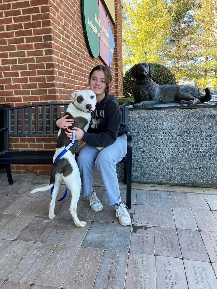 nashvillehumane's tweet photo. Oh Look! It’s LJ! aka last week’s @MuttNation Monday featured pet on @98WSIX with @WayneDShow! This #LoveHarder dog was ADOPTED yesterday, Sunday, 2/27. Please enjoy LJ’s GOTCHA DAY PIC &amp; please stay tuned for THIS WEEK’s pet with @HesWayneD &amp; @TayHamRadio ❤️ CHEERS TO ADOPTIONS! https://t.co/9v3f6g5iyG