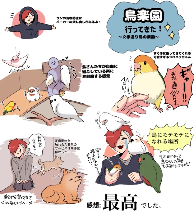 可愛い子と沢山触れ合える素敵な場所でした🙏遊ぼ〜!みたいな感じで近づいてきてくれる感じが堪らなく嬉しかった😭動物側も楽しそうにしてくれるのはめちゃくちゃ嬉しい! #鳥楽園 