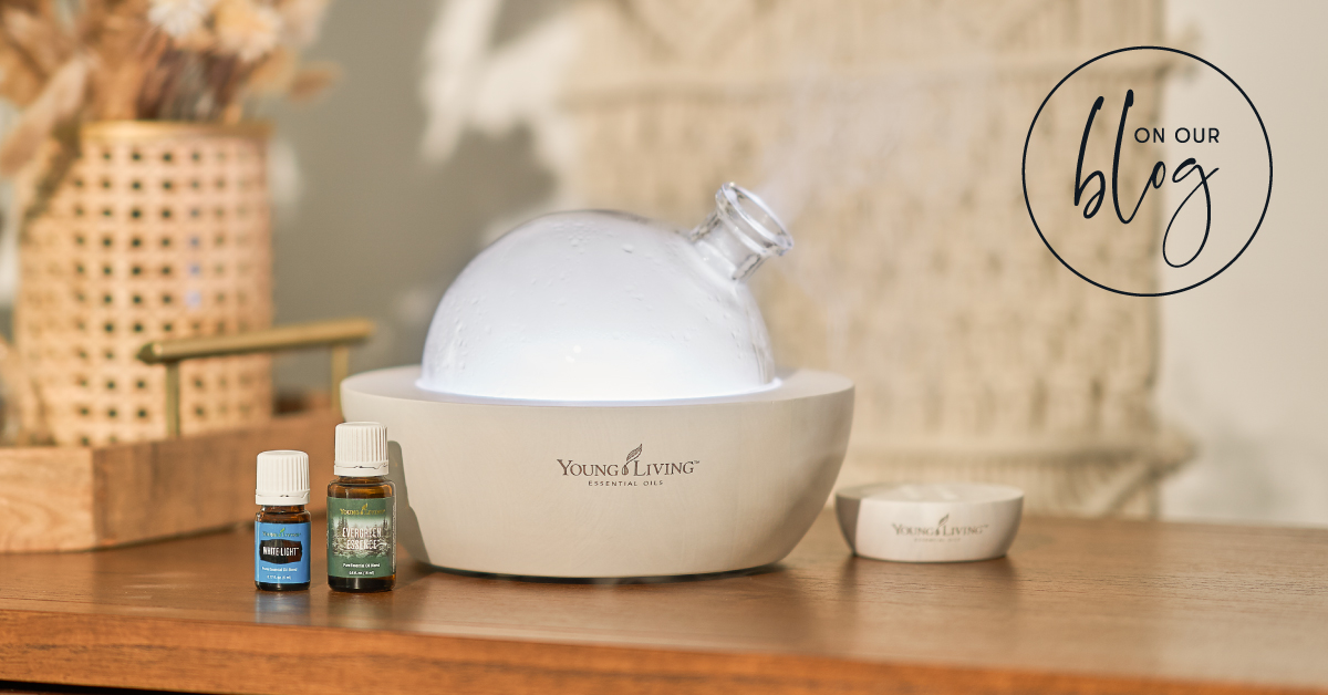 NightWellness's tweet photo. The science behind aromatherapy https://t.co/ogeD5DZ4YP https://t.co/BWW1M8T0CW