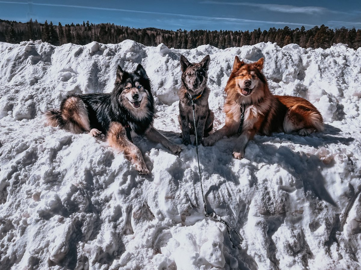 The boys are back in town!