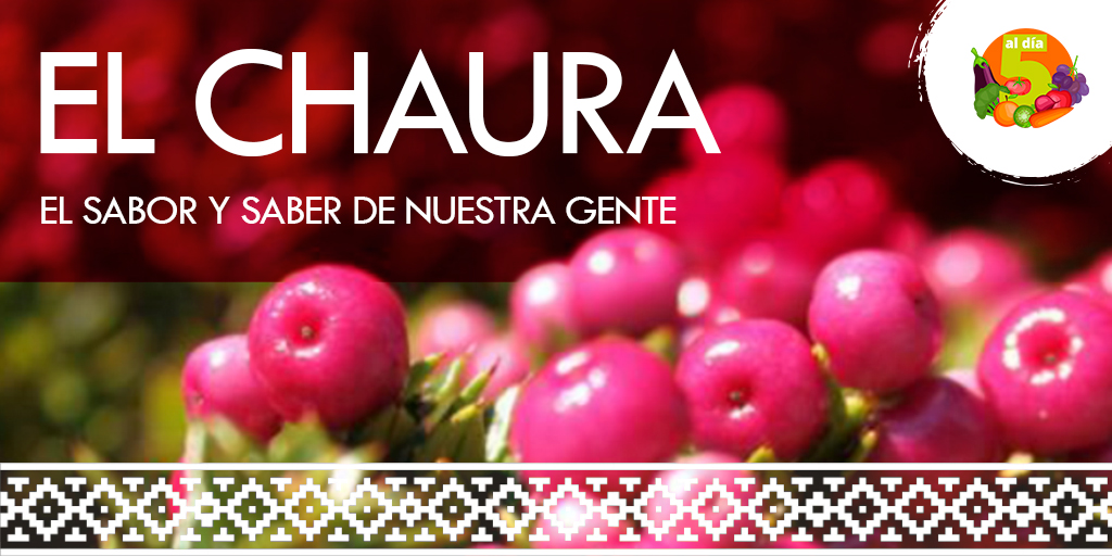 5aldiachile's tweet photo. El #chaura, como es conocido por el pueblo Mapuche, es un fruto similar al arándano, de sabor dulce, y agradable olor y textura.
Prolifera en forma natural entre las regiones del Biobío y la de Magallanes. https://t.co/Zi6bOANP4O