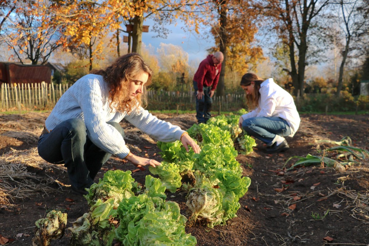 Aardpeer, samen voor grond tweet media