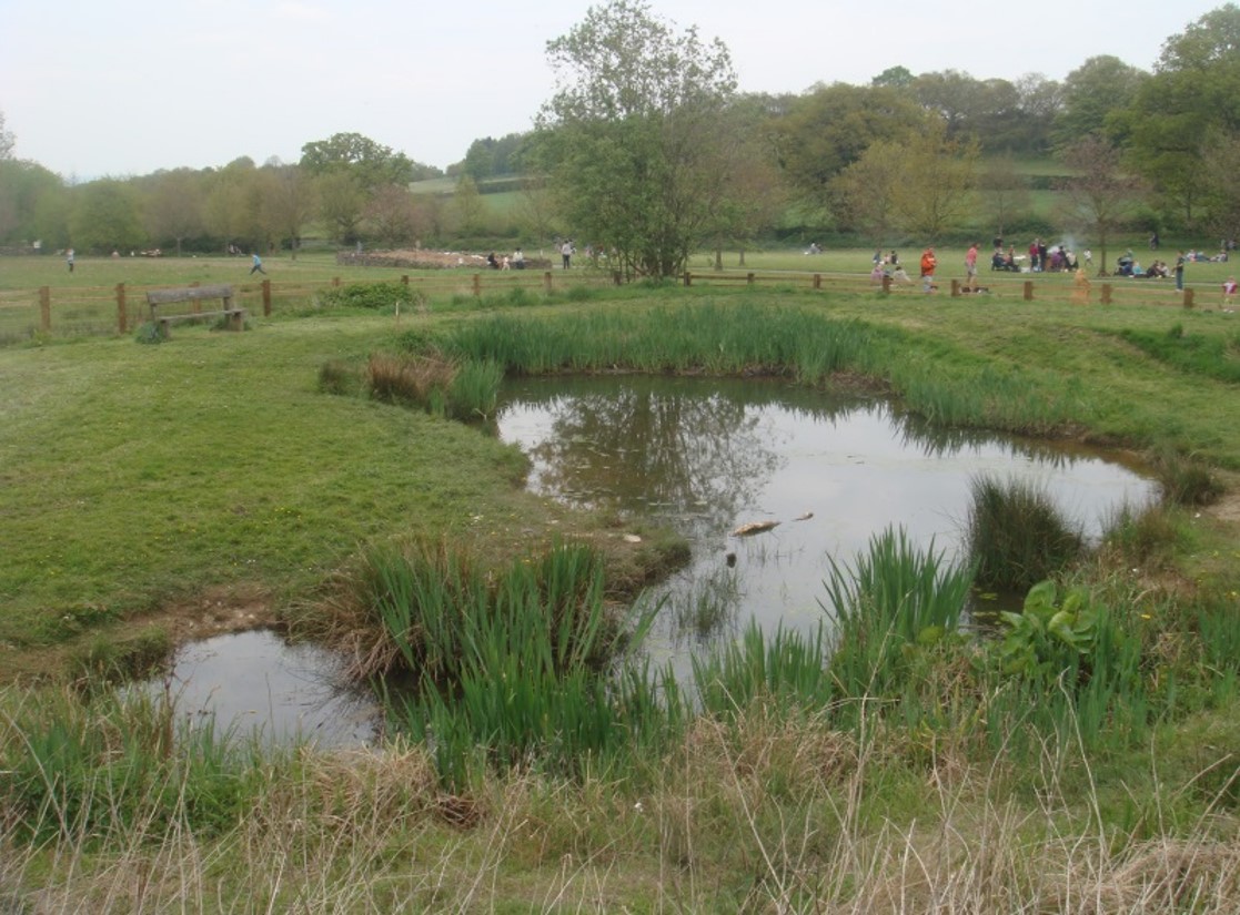 Interested in water management and biodiversity?  Apply for this fully-funded #PhD which will examine the use of artificial ponds for sustainable #wastewatertreatment, and #aquaticbiodiversity. Closing date 30th April: research.hud.ac.uk/research-degre… (search for Nature based solutions).