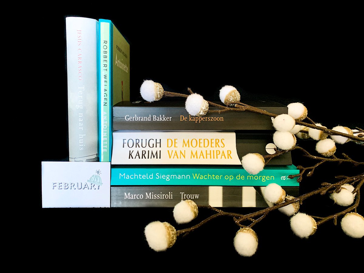 Wat een geweldige leesmaand was februari! 😱 Ik heb genoten van prachtige, meeslepende en goed geschreven boeken.👌🏼😍 Lees online welke roman ik heb gekozen als topper van de maand 👉🏼 moontje.eu/wrap-up-februa…