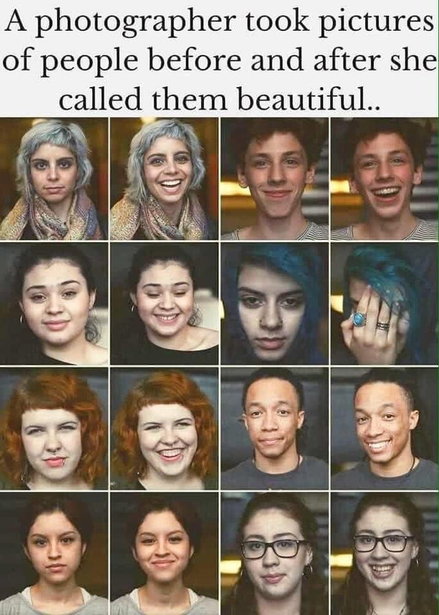 WholesomeMeme's tweet photo. https://t.co/HIr3XvSttD