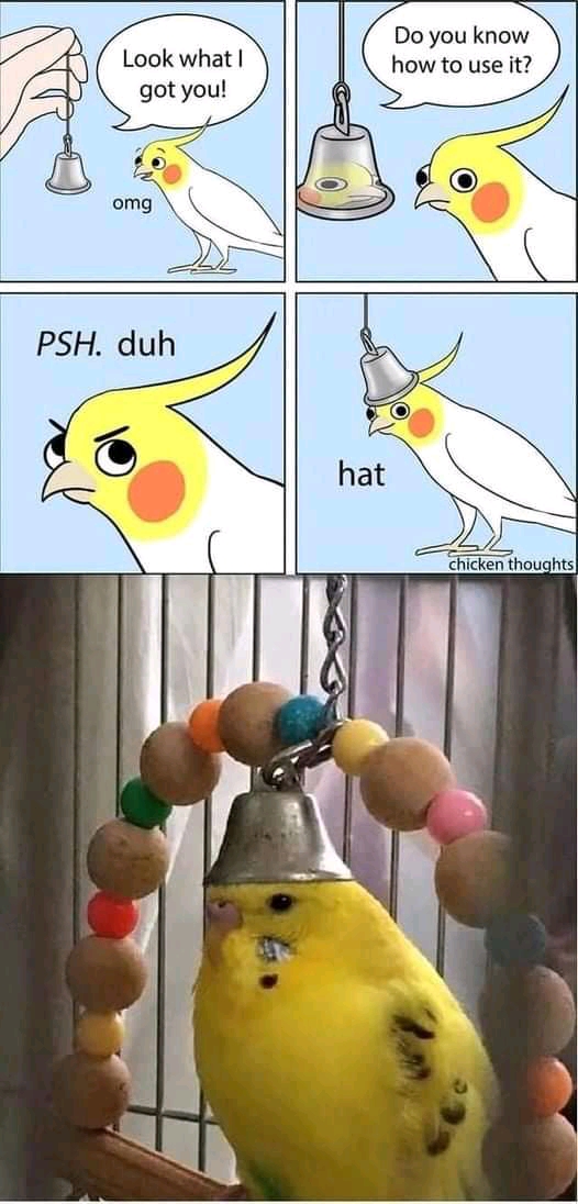 WholesomeMeme's tweet photo. By @ChickenThoughts https://t.co/baVoN8xcnW