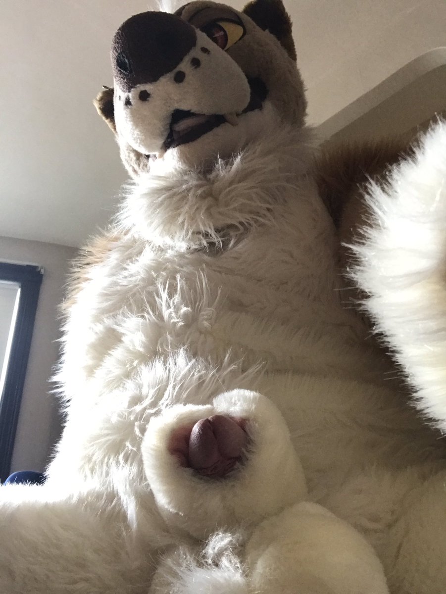 sex punk @ ANE tweet media