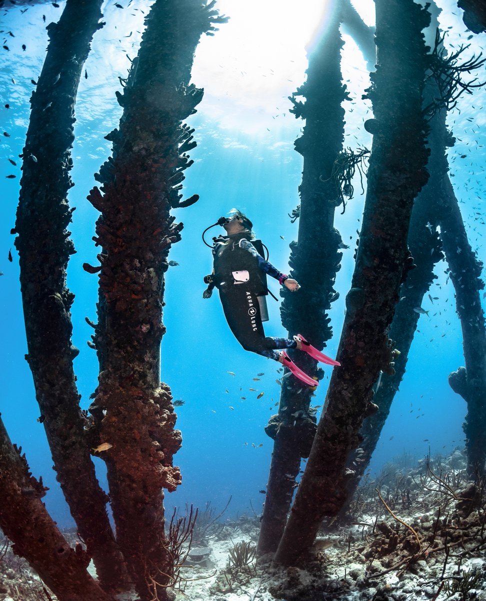 The ocean stirs the heart. 💙

#scubadiving #scubatravel #oceanlifestyle