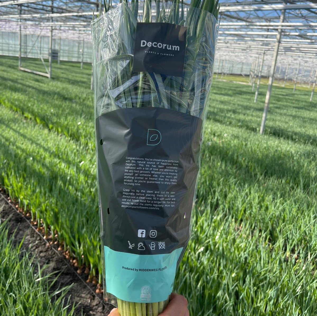 From today our Irises will be in our new <a href="/Decorumcompany/">Decorum Company</a> sleeves 🤩 #pureperfection #decorum