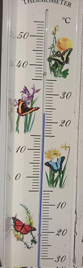 Zack! Sommer 🌻🌼