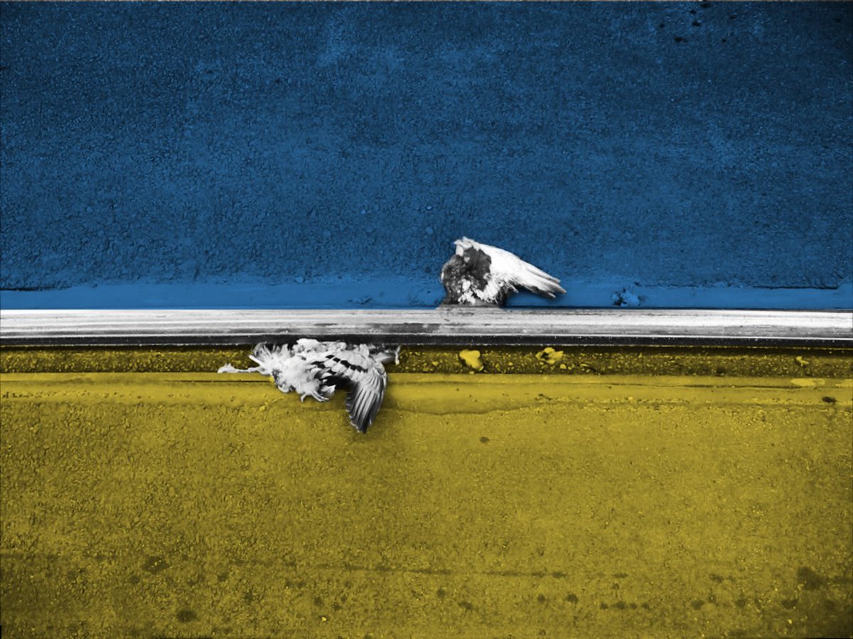 geothink's tweet photo. #Ukraine https://t.co/uSn1XFjgWH
