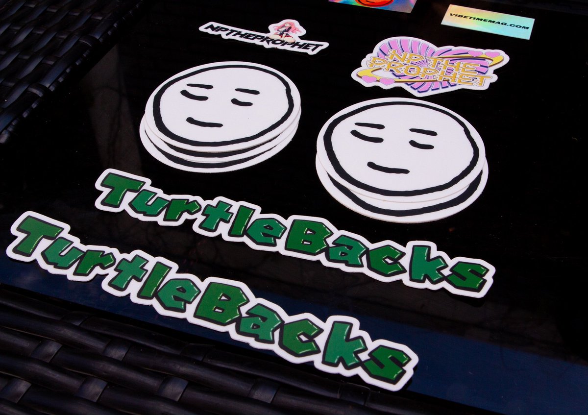 TurtleBacksNFT's tweet photo. It’s always Turtle Time 🐢 

📸  @polysaccharides https://t.co/50KraxvijD