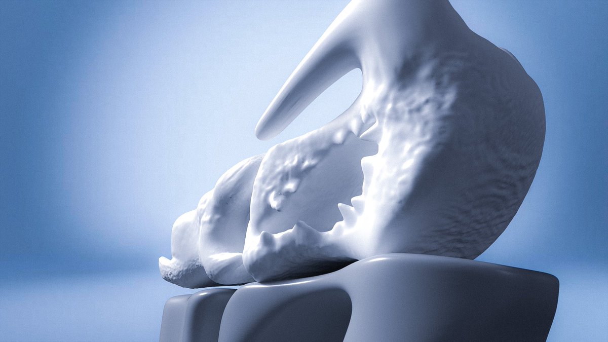 maaaxxxxxxxxxh's tweet photo. Première Impression 3D en filament flexible TPU - Concept outsol shoes « Mammouth » 
Prototype
@ndmlucas1 
@ClementMeffre 

RT Apprécié 👁 https://t.co/8aMdNvazks