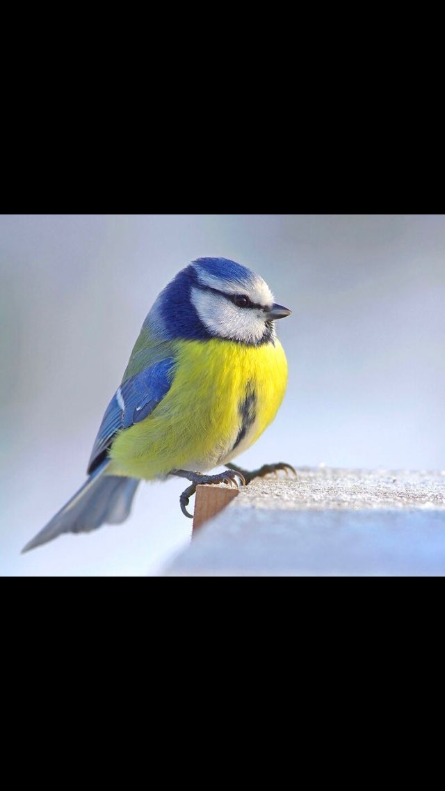 La nature a choisi sont camp !! 🇺🇦