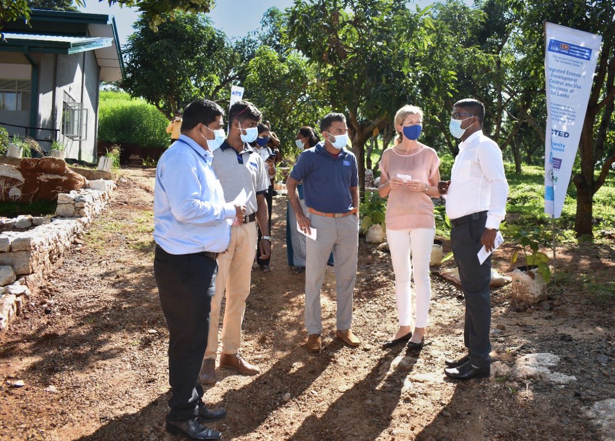 Kugan_87's tweet photo. #mushroom-farming - A business infrastructure was established to address the shortage of quality #mushroom-spawns in the central province #lka #EUIEDproject. fruitful discussion with #EUdelegates  #openningceromony of the #mushrromspawn production and sales centre in #Matale https://t.co/0QUe6jr2pP