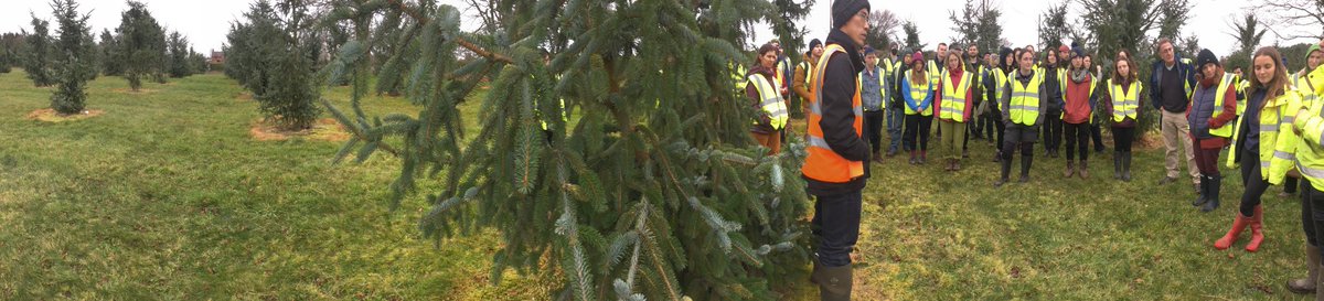 BUForestry's tweet photo. for obvious reasons there were no @BUForestry #study tours last year, so weβre very happy to get the 2022 #BUForestryGoScotland underway π
Stop 1: @MaelorForest #treebreeding #seedorchards #futureforestry #timber #markets #research #Sustainability π± βοΈ π± https://t.co/drWKsprJfP