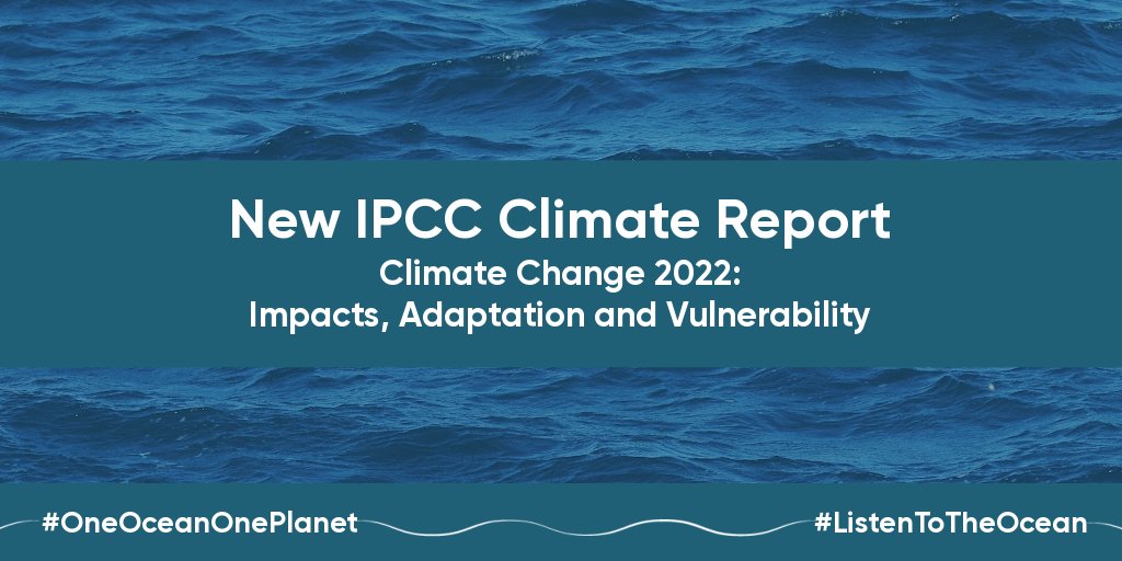 #ClimateChange is damaging the #ocean and its ability to provide the healthy planet we all need to survive. The new <a href="/IPCC_CH/">IPCC</a> #ClimateReport underlines, once again, how vital it is that #OceanAction is given the attention our planet needs. bit.ly/3Ixtf7e #ListenToTheOcean