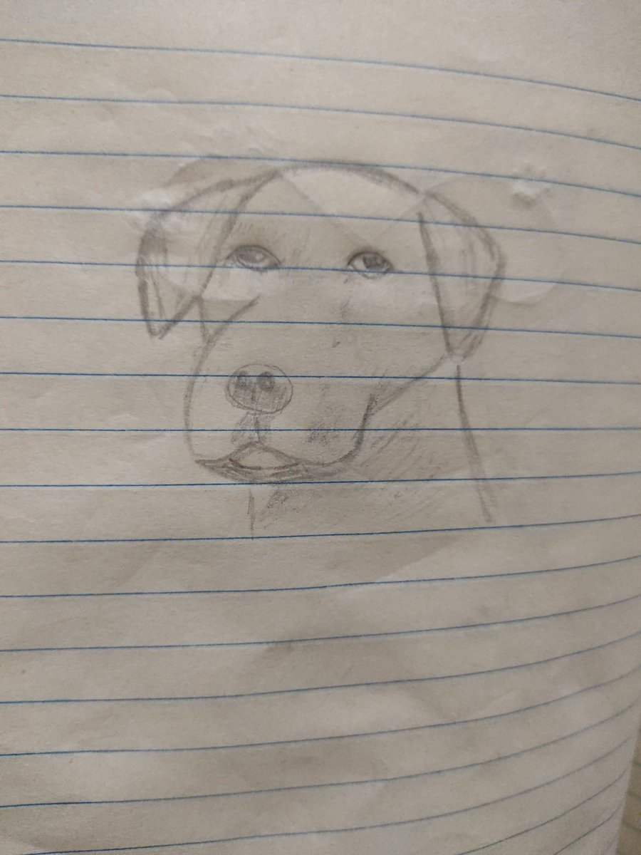 Quah_164's tweet image. Give this dog a name. My first attempt. I know it&apos;s bad but I&apos;m not talented 🥲 give me time haha #dog #sketch #learntosketch #firstattempt