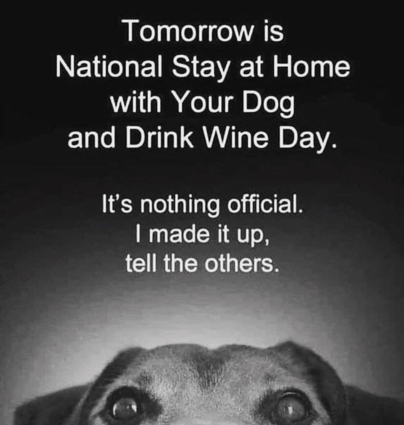 BullyThePotato's tweet photo. I don’t know where this idea started, but it’s brilliant &amp; we’re all in 🐶🍷 https://t.co/VPlZR1kO2R