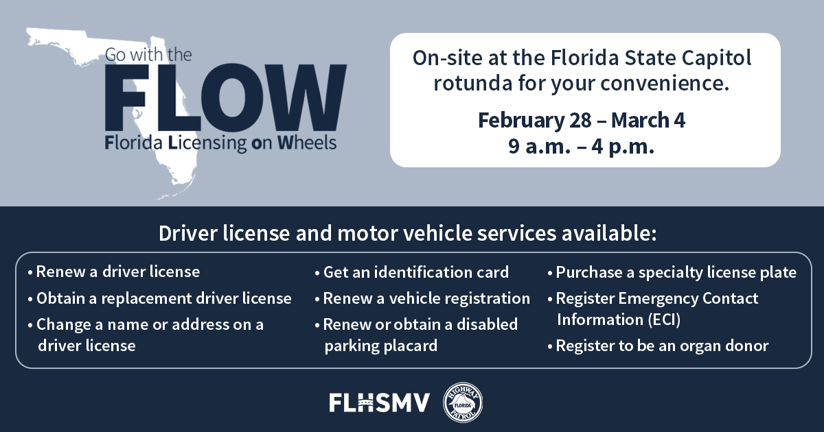 Miami drivers license check gawerfabric