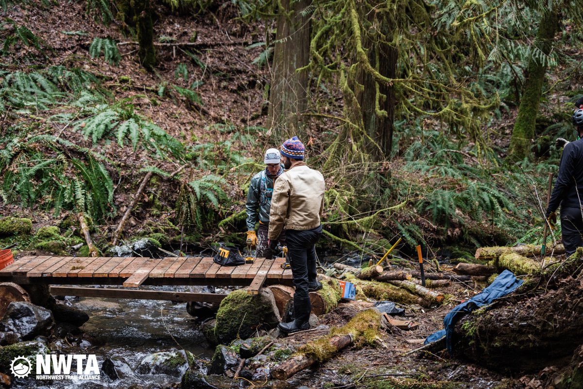 NWTrailAlliance's tweet photo. On February 26th, a hardy group of NWTA volunteers constructed a temporary bridge bypass route. This officially reopens the Shoofly Trail allowing riders to avoid the Shoofly bridge, which became unsafe to cross.

Read more: https://t.co/JWarhrvdTe https://t.co/sny2YKAbzk