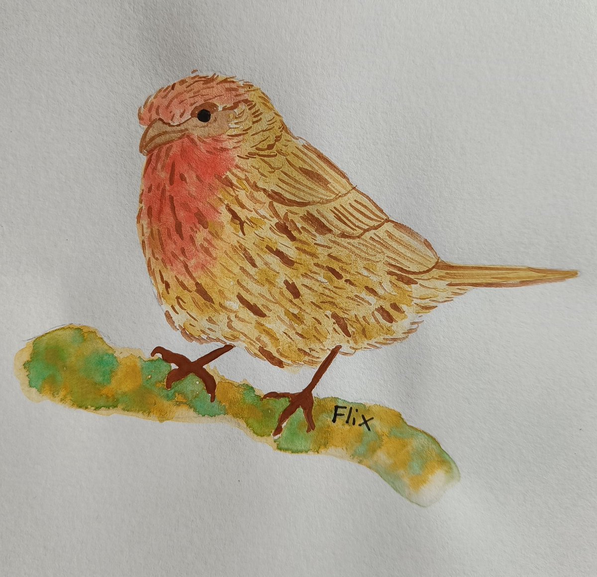 Birbfest 25: House Finch

instagram.com/p/Caf2yNttLXX/…
#birding #ArtistOnTwitter #watercolor