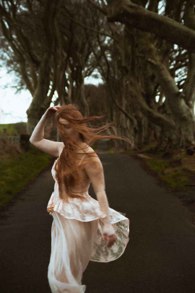 uriah_f's tweet photo. The dark hedges in ireland. late December 2021 @gingeredspice https://t.co/9cCkCRLsjA