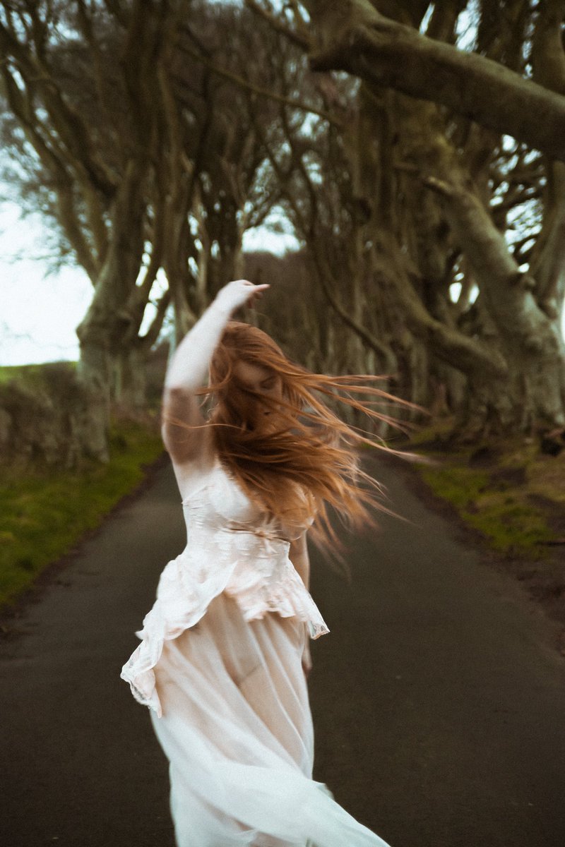 uriah_f's tweet photo. The dark hedges in ireland. late December 2021 @gingeredspice https://t.co/9cCkCRLsjA