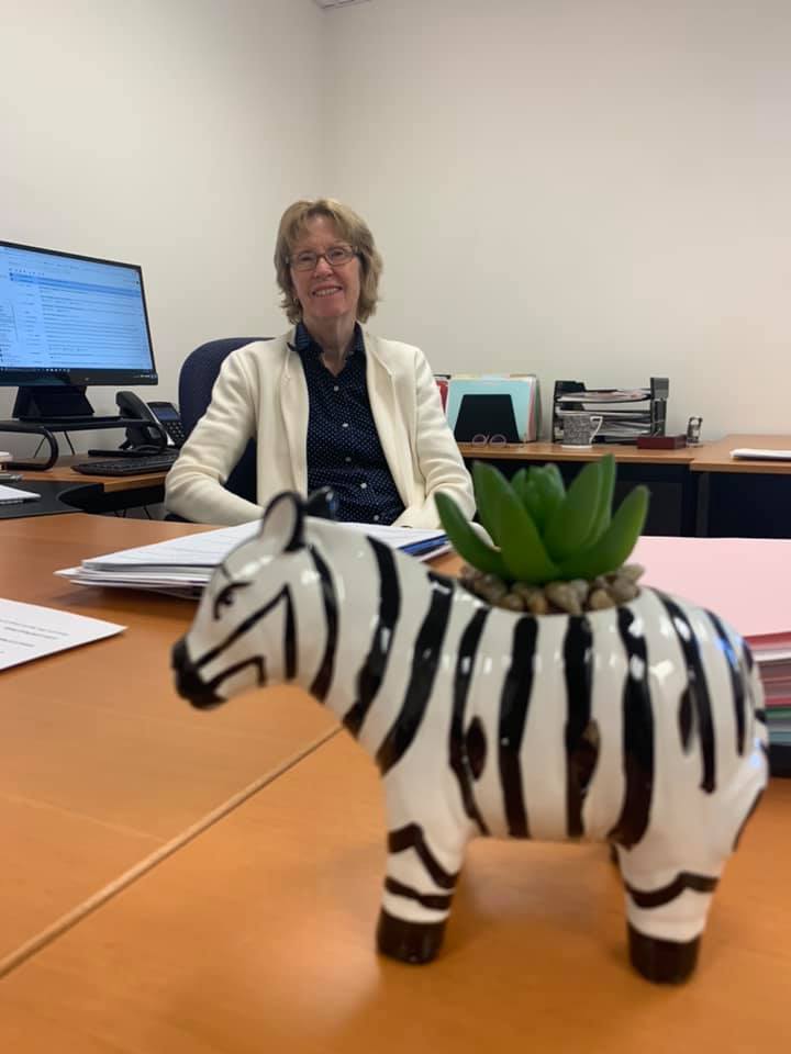 orphanwriter's tweet photo. It's amazing to see how #RareDiseaseDay has grown since it was launched in Europe by EURORDIS in 2008 and brought to the US by NORD in 2009. #ShowYourStripes to keep the momentum growing!  #RareDiseases https://t.co/xg6uZlmmA8