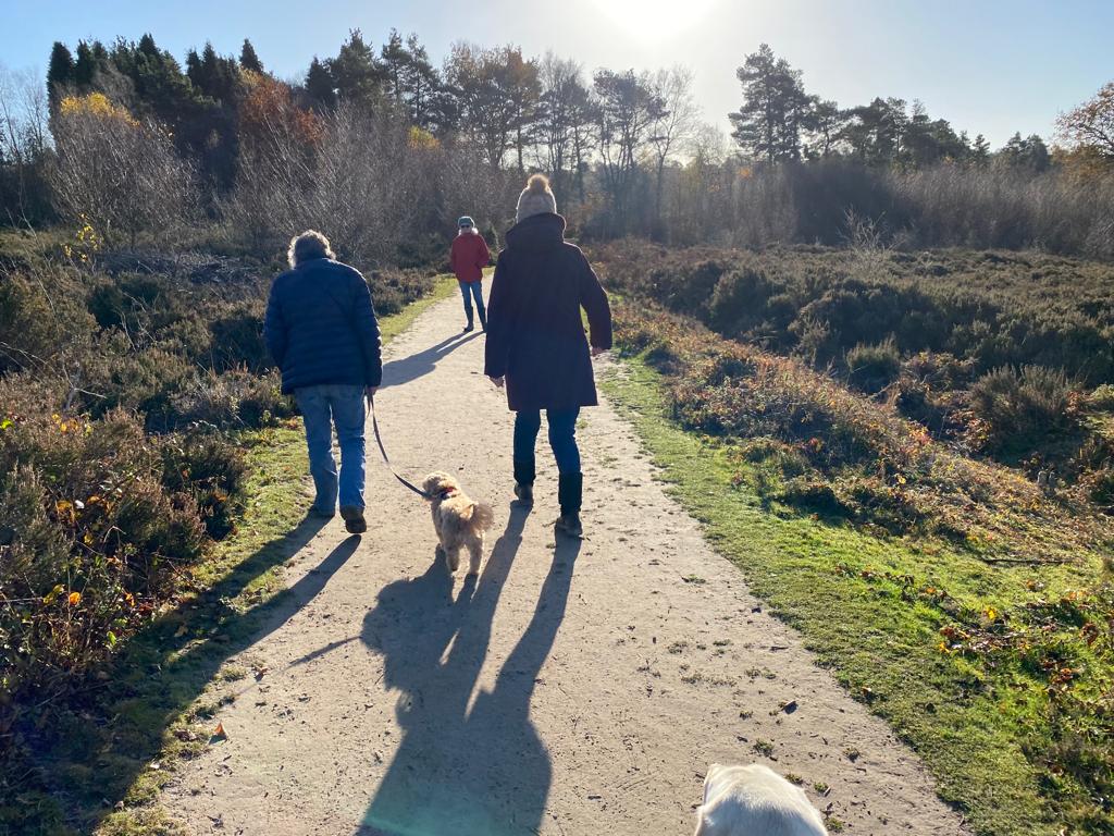 GoodCompanyPPL's tweet image. Spring is in the air and we have 50% off our guest sessions in March mailchi.mp/thegoodcompany… 

Book now or find out more from Felicity - felicity@thegoodcompanypeople.org