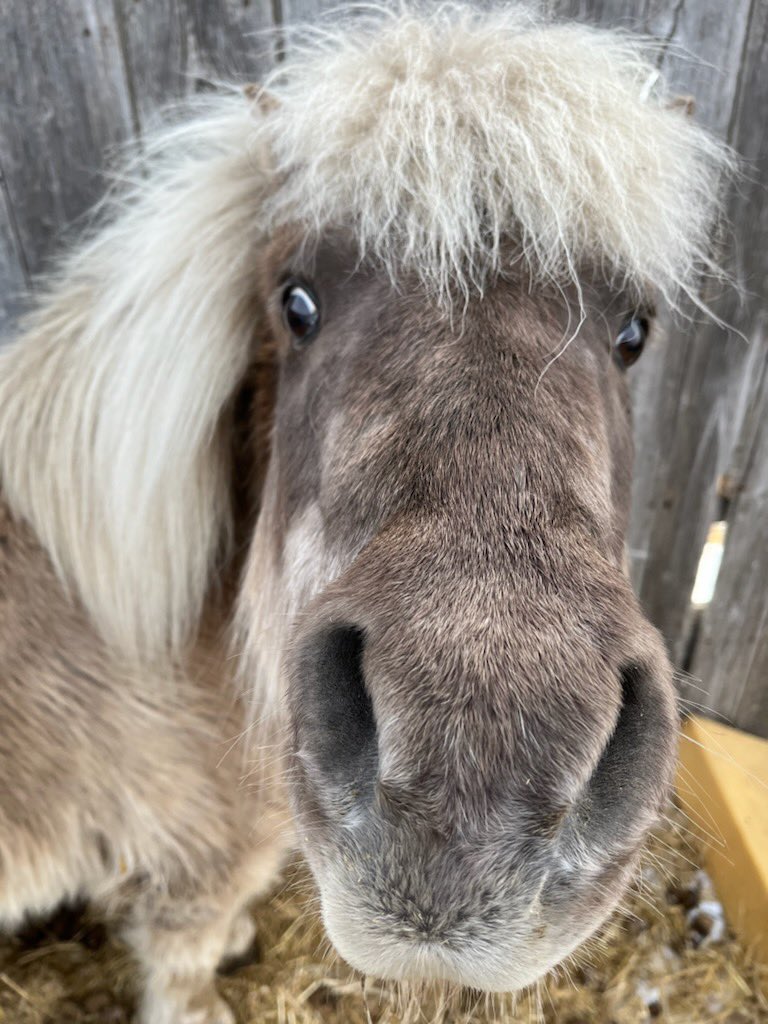 Grow Calgary tweet media