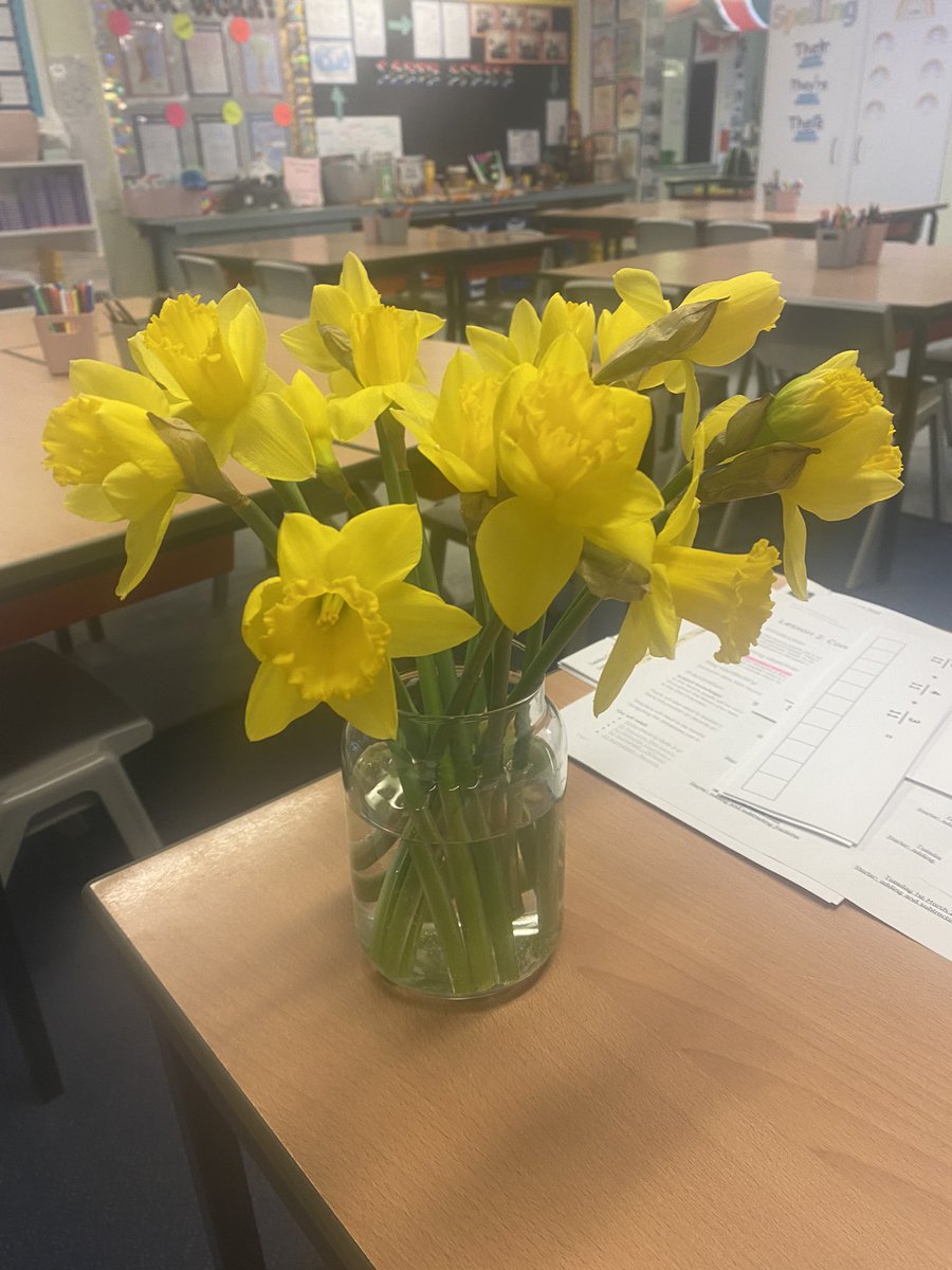 What a lovely good morning from one of my children today🥰 The reason why❣️