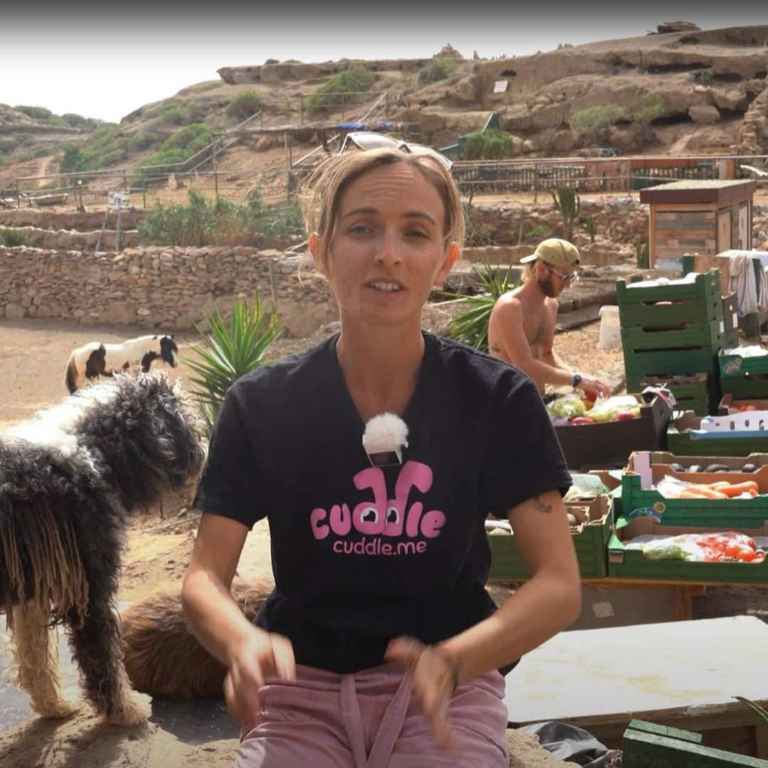 Last week we have been raising money for tenerifehorserescue.com, and with your generous help, we have collected 866 USD!!! We are grateful to everyone who supported us by sharing, tagging, and commenting!!! Don´t forget to visit our discord.gg/cuddlenft to learn more...#nft