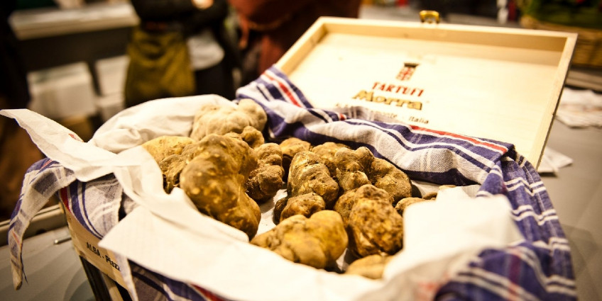 👉The white truffle, or “Trifola d’Alba Madonna” (Truffle of the White Mother)🧐 is extremely expensive
A pound of this gastronomic delicacy can sell as much as $3,600😲
 #CGC #NFT #food