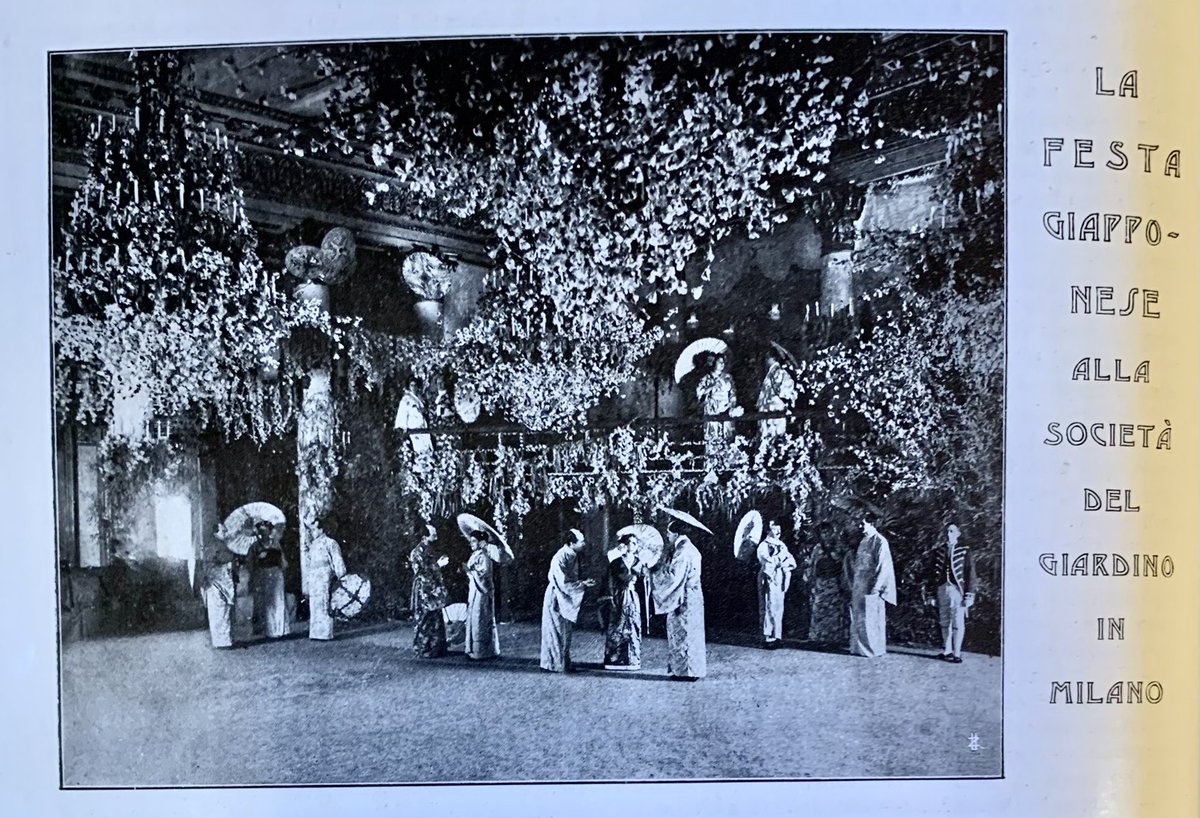 Alessandra Palidda tweet media