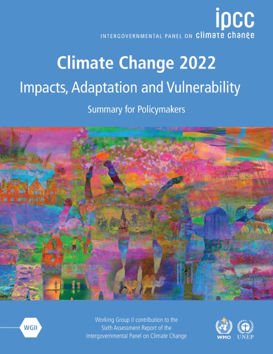 adapt2climate's tweet photo. Want to read the #IPCC AR6 #ClimateReport yourself?  Here is where to find the full report (3675pages), summary, or individual chapters: https://t.co/NurKqrRh5o https://t.co/ra7XrGEhtD