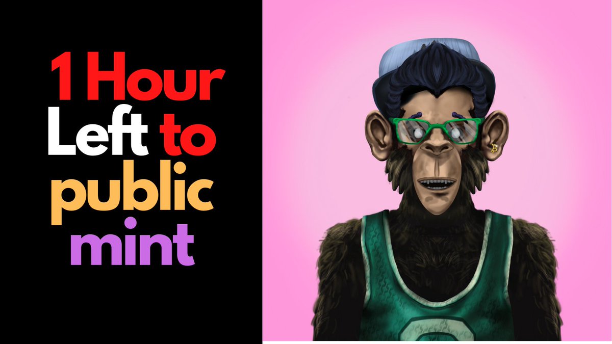 1 Hour Left to Public mint 😍