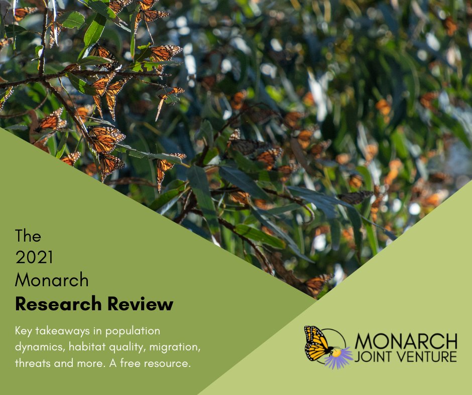 The 2021 MJV Monarch Research Review is a free resource that gives monarch enthusiasts access to key takeaways from the latest scientific literature about monarchs and habitat. The Review is available on our website: ow.ly/APHr50I63pQ
#monarchbutterfly #pollinators #science
