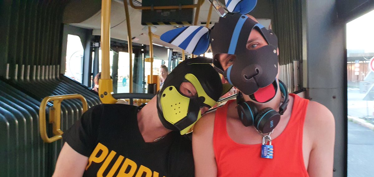 PuppyUsirev's tweet photo. After work in 2020...  travel by bus with @keramisu1 and @puppy_tomik ☺️ https://t.co/GWskrCLpNF