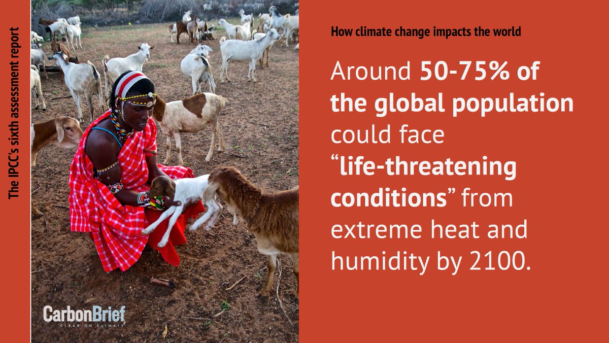 NEW - In-depth Q&amp;A: The IPCC's sixth assessment on how climate change impacts the world | <a href="/aruna_sekhar/">Aruna Chandrasekhar</a> <a href="/daisydunnesci/">Daisy Dunne</a> <a href="/Josh_Gabbatiss/">Josh Gabbatiss</a> <a href="/rtmcswee/">Robert McSweeney</a> <a href="/AyeshaTandon/">Ayesha Tandon</a> <a href="/GAViglione/">Giuliana A. Viglione, PhD</a> 

Read here: bit.ly/3vrXVmS