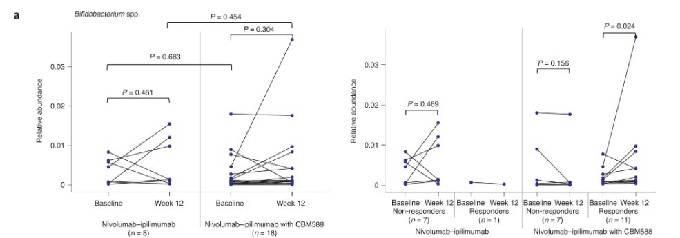 NazliDizman's tweet photo. 💩 Gut #microbiome analyses:
👉Although no significant change in Bifidobacterium spp. was observed with #CBM588 therapy between baseline &amp; week 12, we did observe an increase amongst responders. 
👉Microbial diversity remained unchanged in both arms. 

5/n 🧵 https://t.co/zVnDRAwgwC
