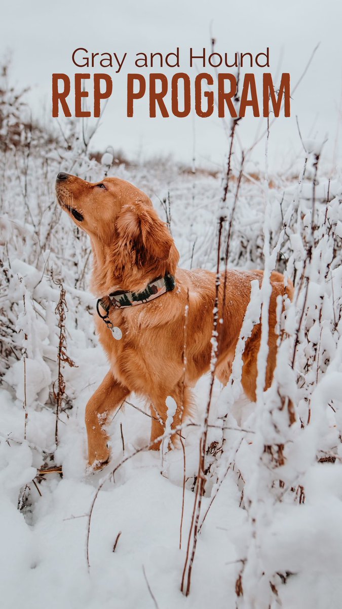 Apply for our rep program now to be considered for our summer 2022 release!! docs.google.com/forms/d/e/1FAI… 

Any questions? Ask below!